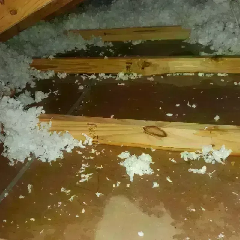 Attic Water Damage in Marion County, KS