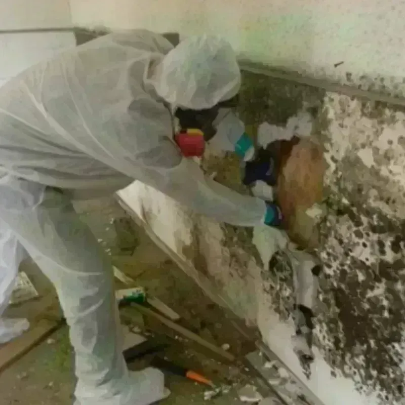 Mold Remediation and Removal in Marion County, KS