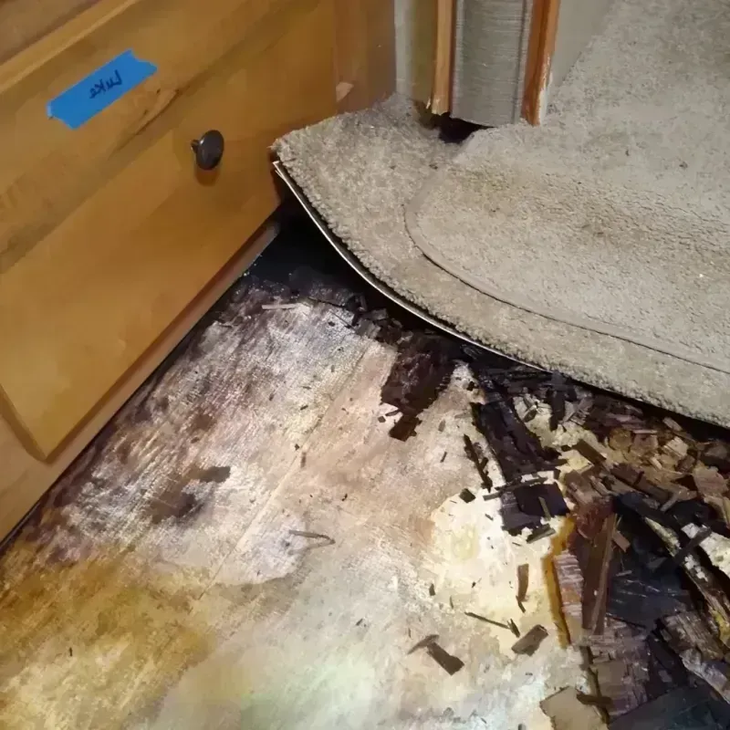 Wood Floor Water Damage in Marion County, KS